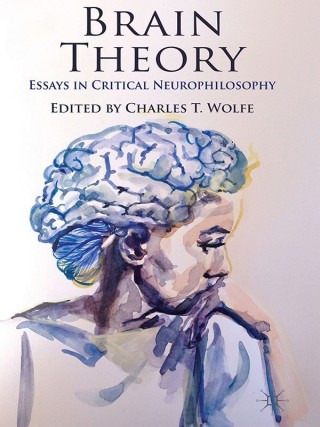 Cover image: Brain Theory 9780230369573