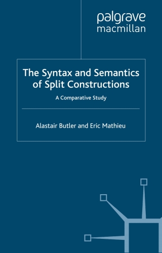 Titelbild: The Syntax and Semantics of Split Constructions 9781403921123