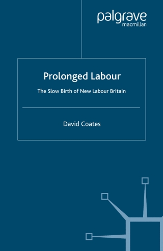 Imagen de portada: Prolonged Labour 9781403993595
