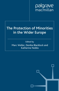 Omslagafbeelding: The Protection of Minorities in the Wider Europe 9780230001299