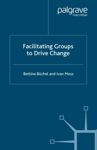 Cover image: Facilitating Groups to Drive Change 9780230549296