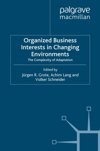 صورة الغلاف: Organized Business Interests in Changing Environments 9780230216655