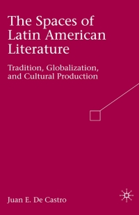 表紙画像: The Spaces of Latin American Literature 9780230606258