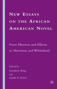 Cover image: New Essays on the African American Novel 9780230603271