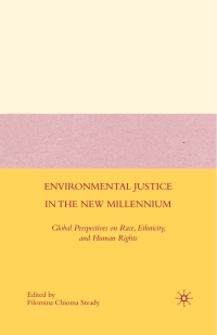 Titelbild: Environmental Justice in the New Millennium 9780230615847