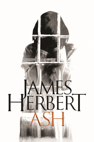 Cover image: Ash 9780230764873