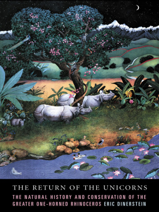 Cover image: The Return of the Unicorns 9780231084505