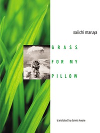 صورة الغلاف: Grass For My Pillow 9780231126588