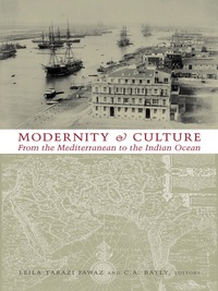 Cover image: Modernity and Culture 9780231114264