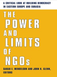 Cover image: The Power and Limits of NGOs 9780231124904