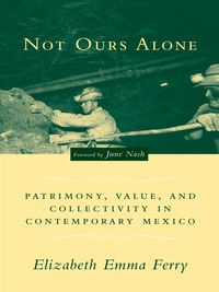 Cover image: Not Ours Alone 9780231132381