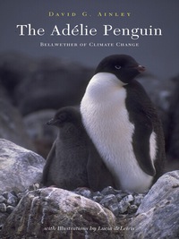Cover image: The Adélie Penguin 9780231123068