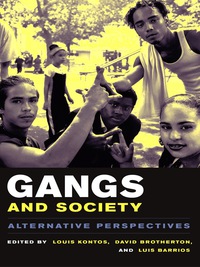 表紙画像: Gangs and Society 9780231121408