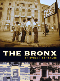 Titelbild: The Bronx 9780231121149