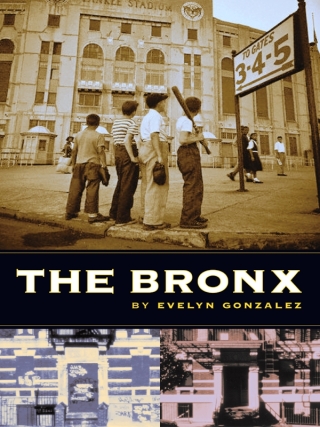 Imagen de portada: The Bronx 9780231121149