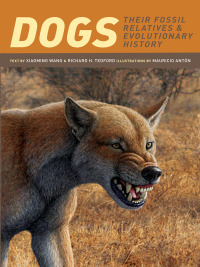 Cover image: Dogs 9780231135283
