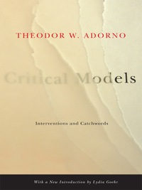Cover image: Critical Models 9780231135054