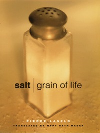 Immagine di copertina: Salt 9780231121989