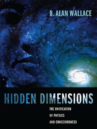 Titelbild: Hidden Dimensions 9780231141505