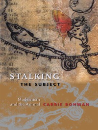 Omslagafbeelding: Stalking the Subject 9780231145060