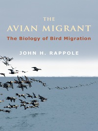 صورة الغلاف: The Avian Migrant 9780231146784