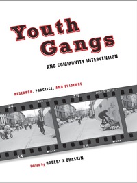 Titelbild: Youth Gangs and Community Intervention 9780231146845
