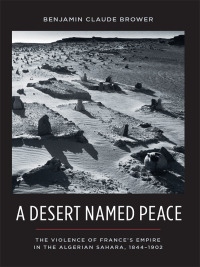 Titelbild: A Desert Named Peace 9780231154925