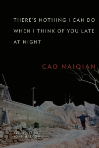 Cover image: There’s Nothing I Can Do When I Think of You Late at Night 9780231148108