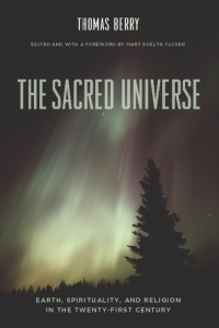 Titelbild: The Sacred Universe 9780231149525