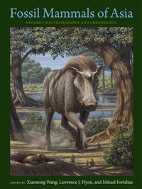 Immagine di copertina: Fossil Mammals of Asia 9780231150125
