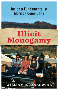 Cover image: Illicit Monogamy 9780231150200