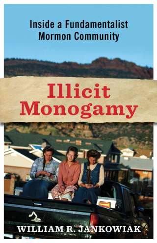 Cover image: Illicit Monogamy 9780231150217