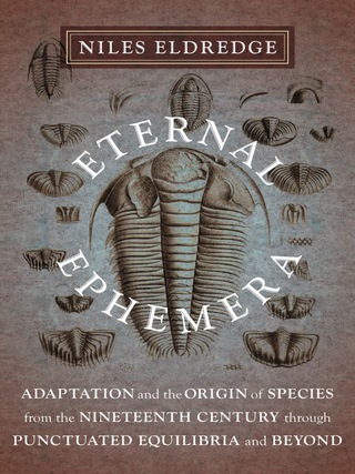 Imagen de portada: Eternal Ephemera 9780231153164