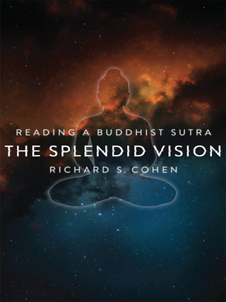 Cover image: The Splendid Vision 9780231156684