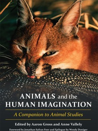Titelbild: Animals and the Human Imagination 9780231152969