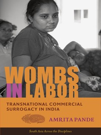 Cover image: Wombs in Labor 9780231169905