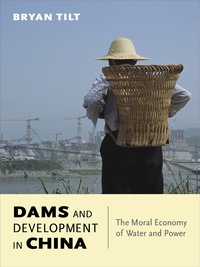 Omslagafbeelding: Dams and Development in China 9780231170109