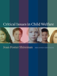Immagine di copertina: Critical Issues in Child Welfare 2nd edition 9780231160780