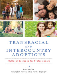 Omslagafbeelding: Transracial and Intercountry Adoptions 9780231172547