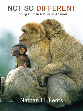 Cover image: Not So Different 9780231178327
