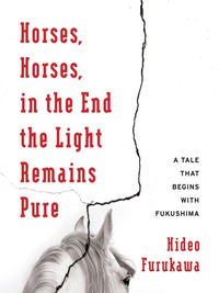 Imagen de portada: Horses, Horses, in the End the Light Remains Pure 9780231178686
