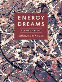 Cover image: Energy Dreams 9780231180580