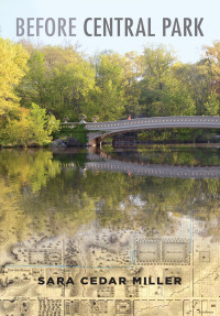 Omslagafbeelding: Before Central Park 9780231181945