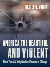 Cover image: America the Beautiful and Violent 9780231184403