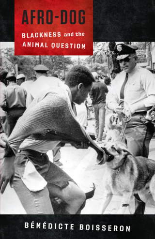 Immagine di copertina: Afro-Dog 9780231186650
