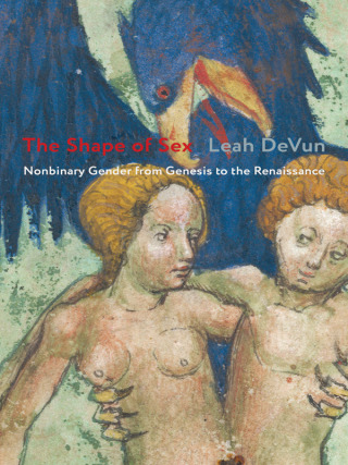 صورة الغلاف: The Shape of Sex 9780231195508