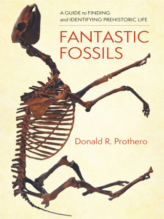 Cover image: Fantastic Fossils 9780231195782