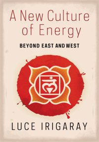 Imagen de portada: A New Culture of Energy 9780231177122