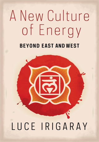Cover image: A New Culture of Energy 9780231177122