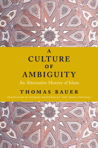 Cover image: A Culture of Ambiguity 9780231170642